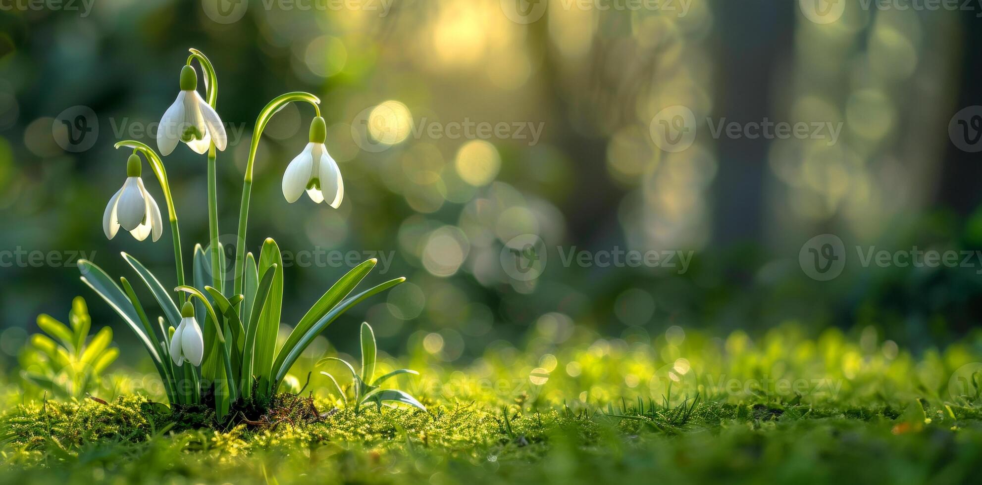 ai gerado fresco snowdrops brilhante com manhã orvalho foto