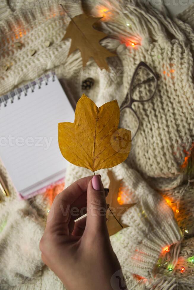 Óculos, bloco de anotações e outono folha em a tricotado xadrez. inverno plano deitar. hygge estilo. foto