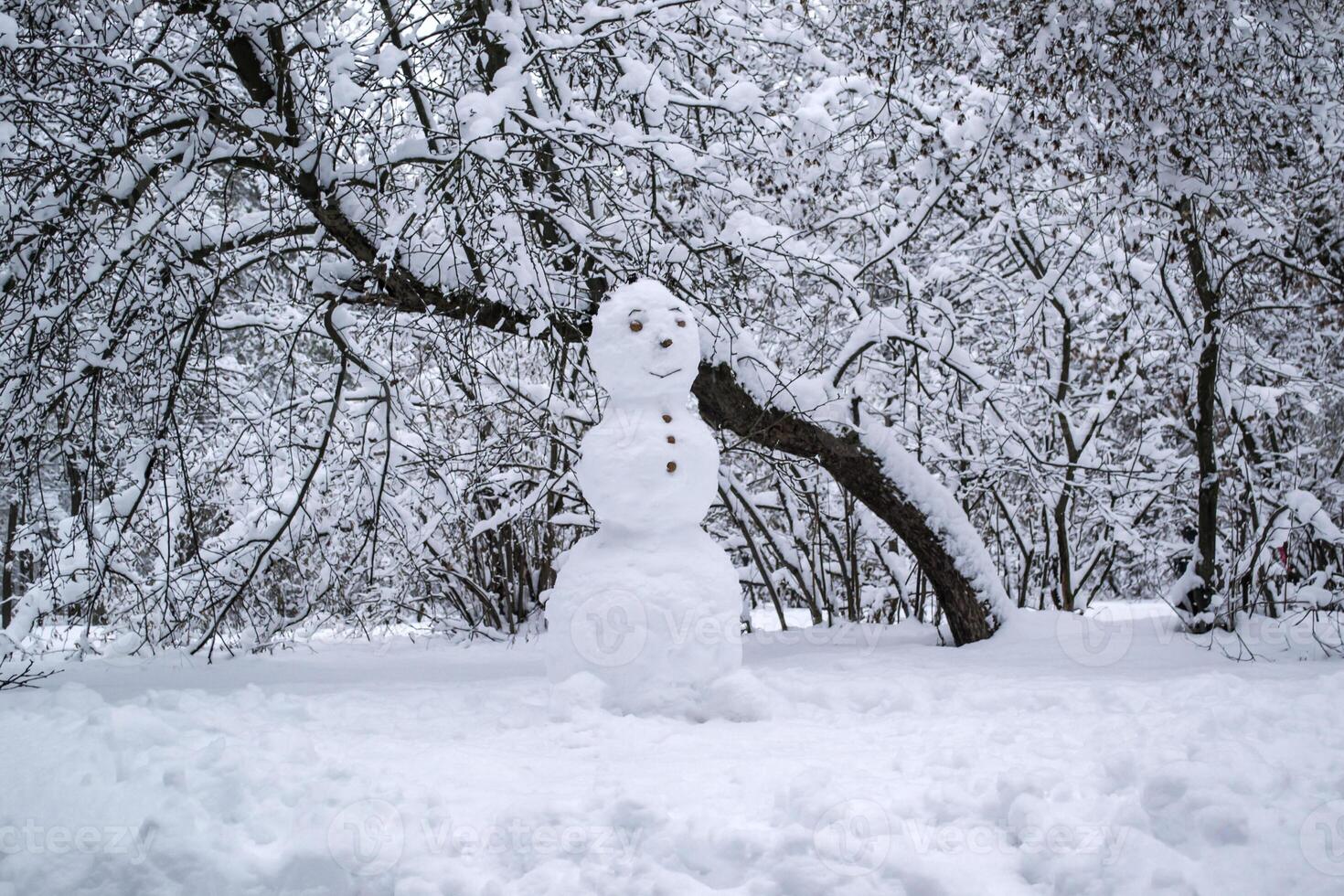 uma fofa boneco de neve dentro a inverno parque. foto