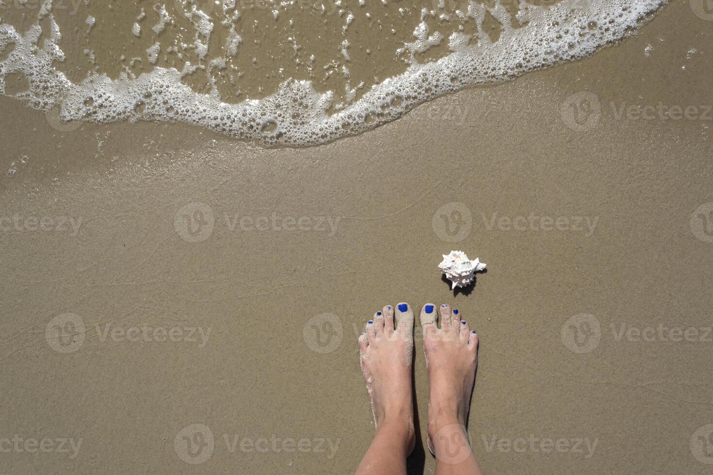 fêmea pés e Concha do mar em a molhado areia. foto