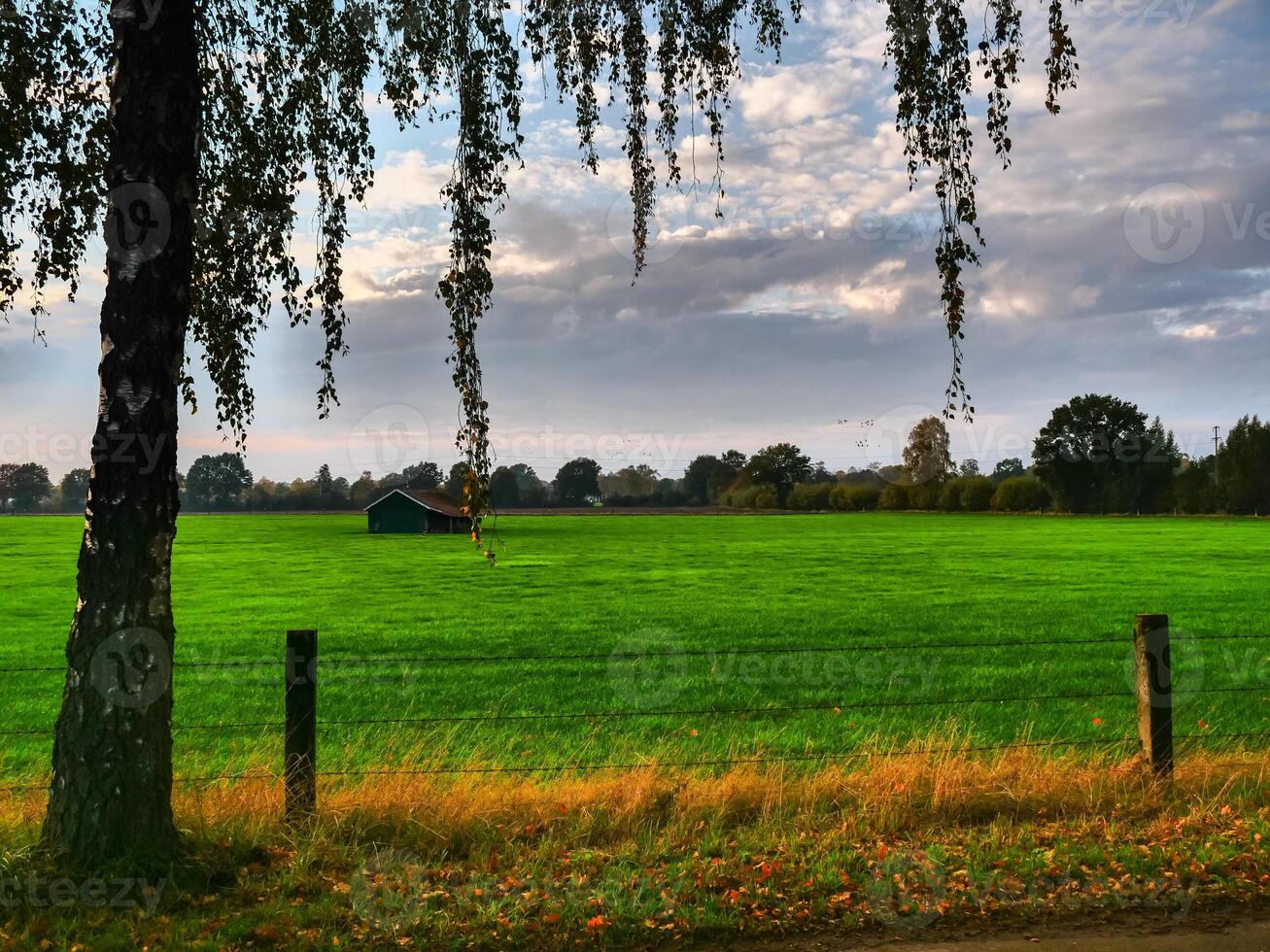 primavera na Vestfália foto