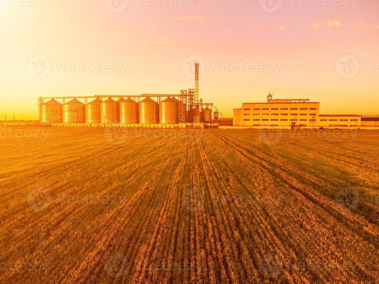 moderno metal silos em agroprocessamento e fabricação plantar. aéreo Visão do celeiro elevador em processamento secagem limpeza e armazenamento do agrícola produtos, farinha, cereais e grão. ninguém. foto