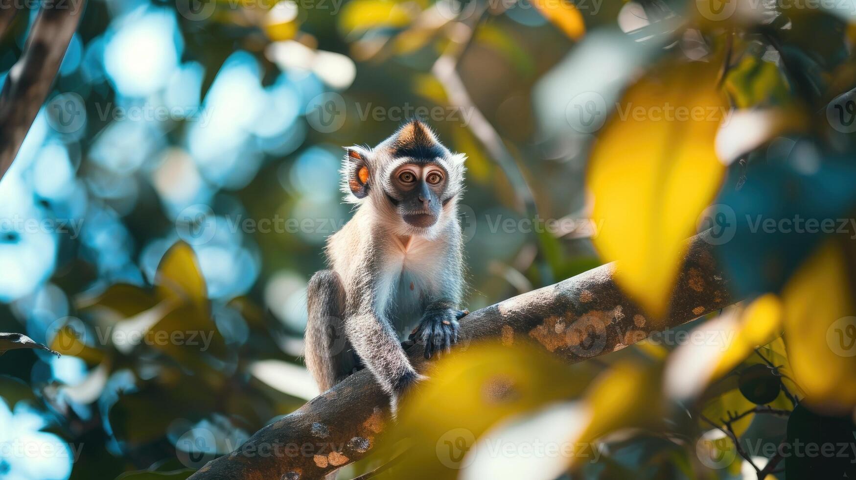 ai gerado lindo macaco gastos Tempo dentro natureza. foto