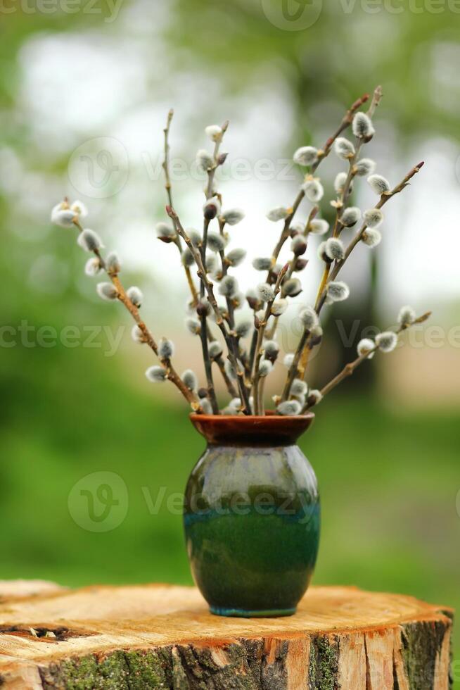 fechar-se do Primavera bichano salgueiro amentilhos galhos galhos ramalhete dentro uma verde vaso ao ar livre foto