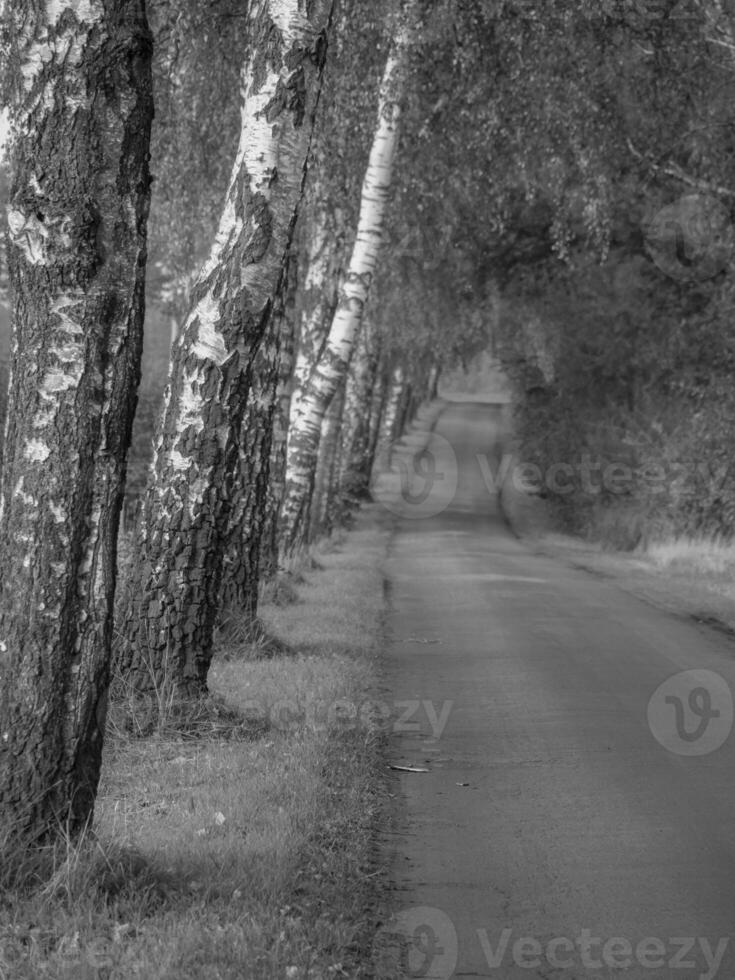 o muensterland alemão foto