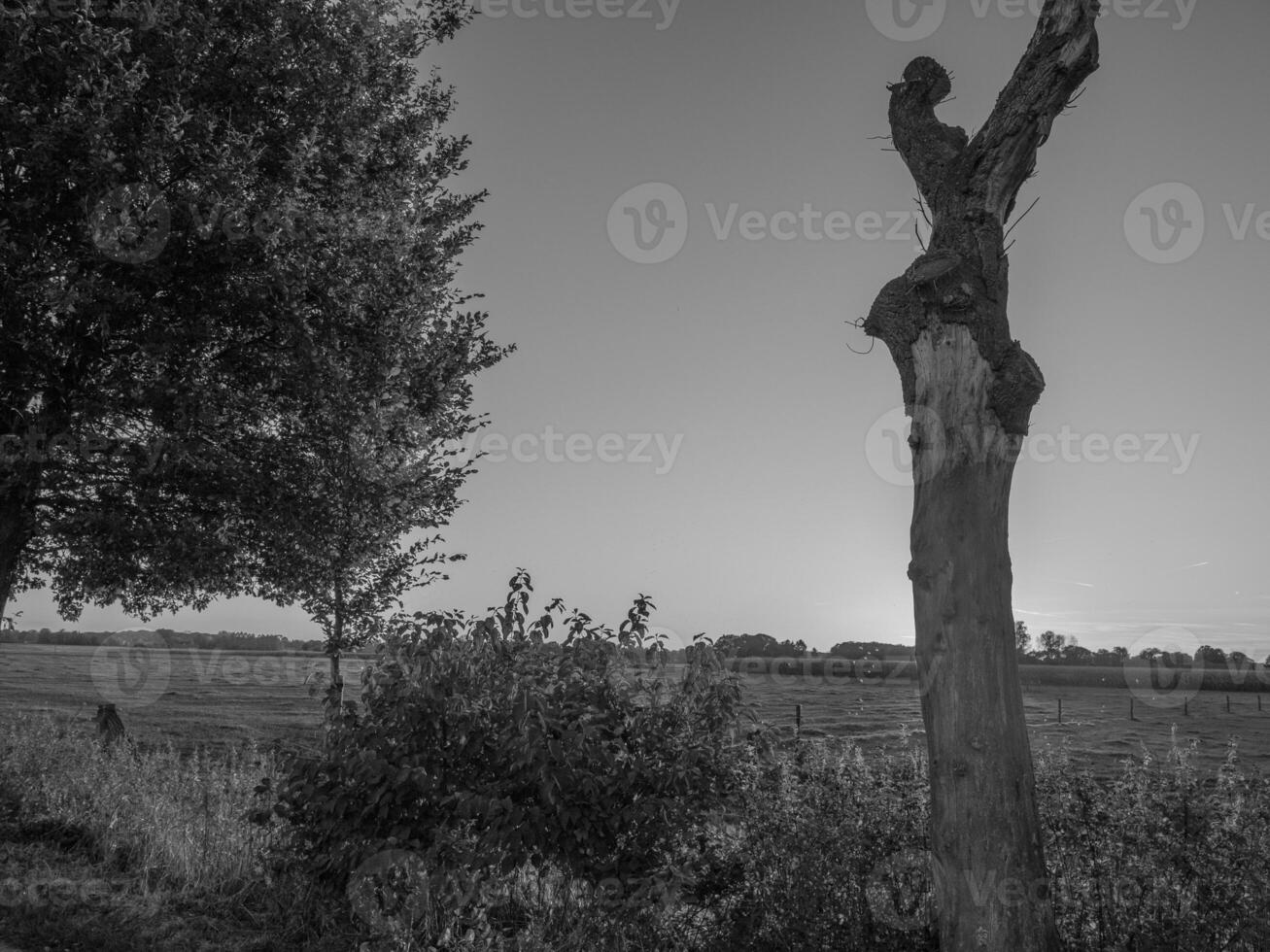 o muensterland alemão foto