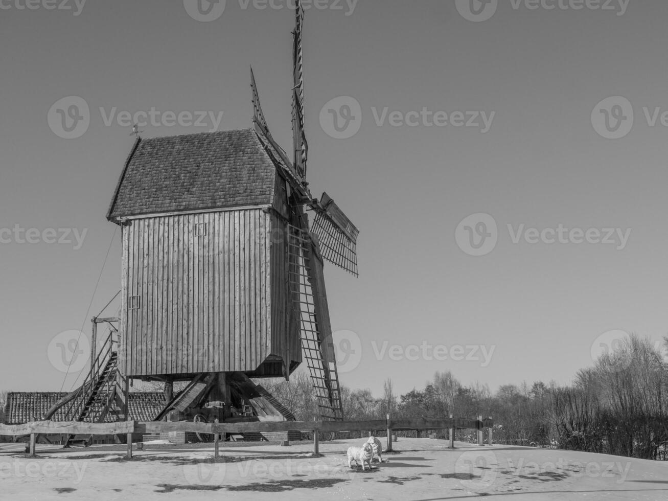 o muensterland alemão foto