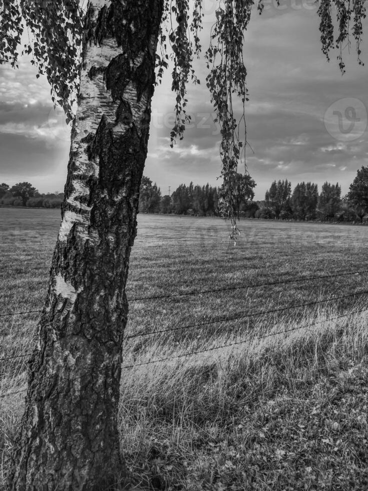 o muensterland alemão foto