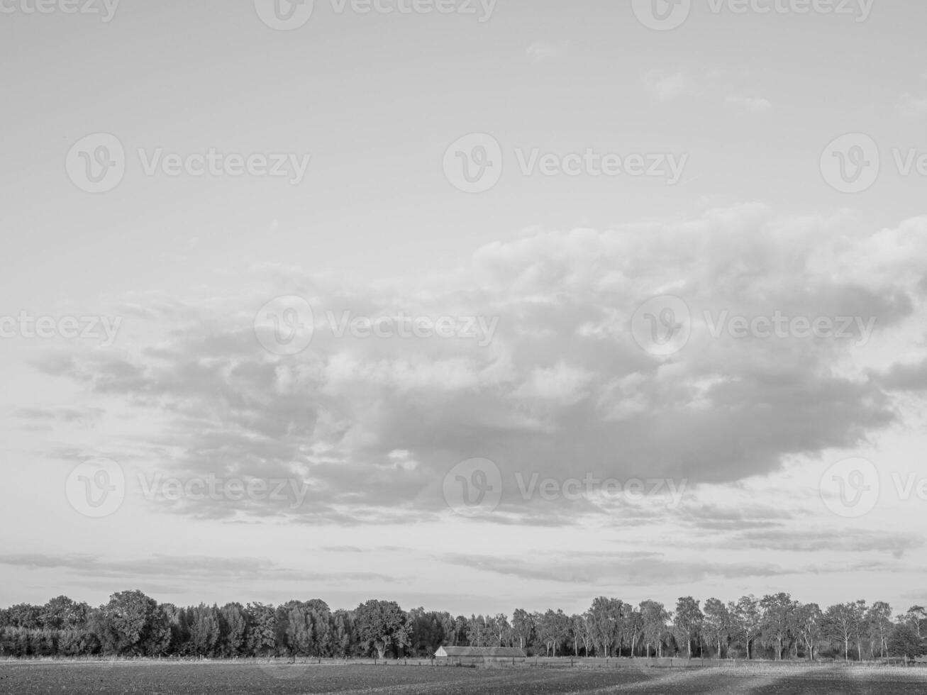 weseke dentro Westfália foto