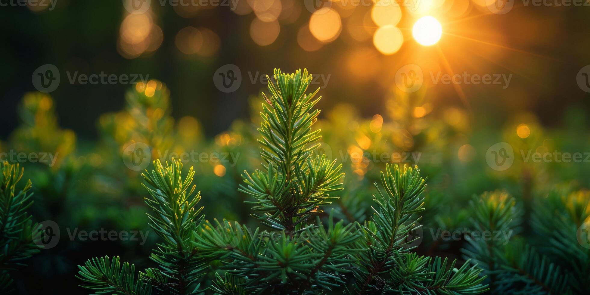 ai gerado a luz solar filtros através a denso marquise do árvores dentro a floresta, criando uma manchado padronizar em a floresta chão. foto