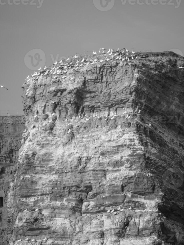 helgolândia ilha Alemanha foto