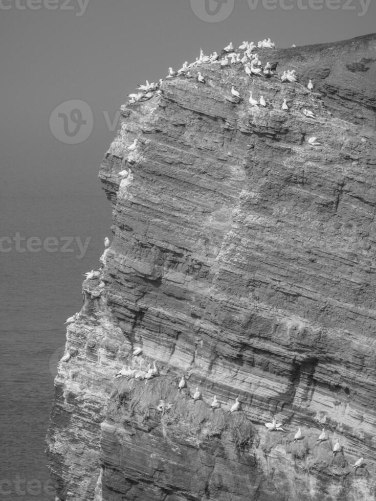 a ilha de helgoland foto