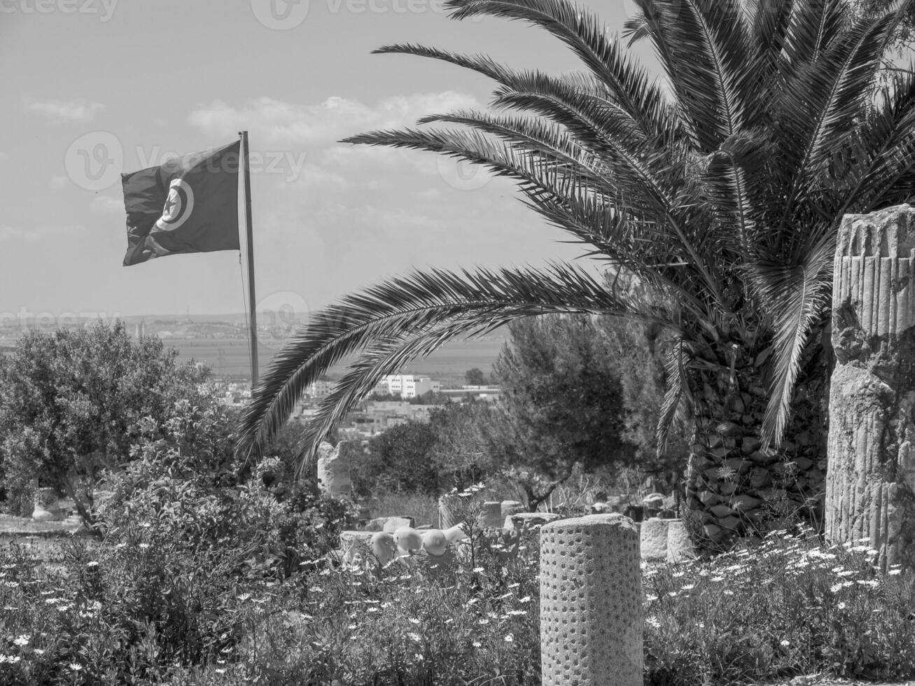 tunis na tunísia foto