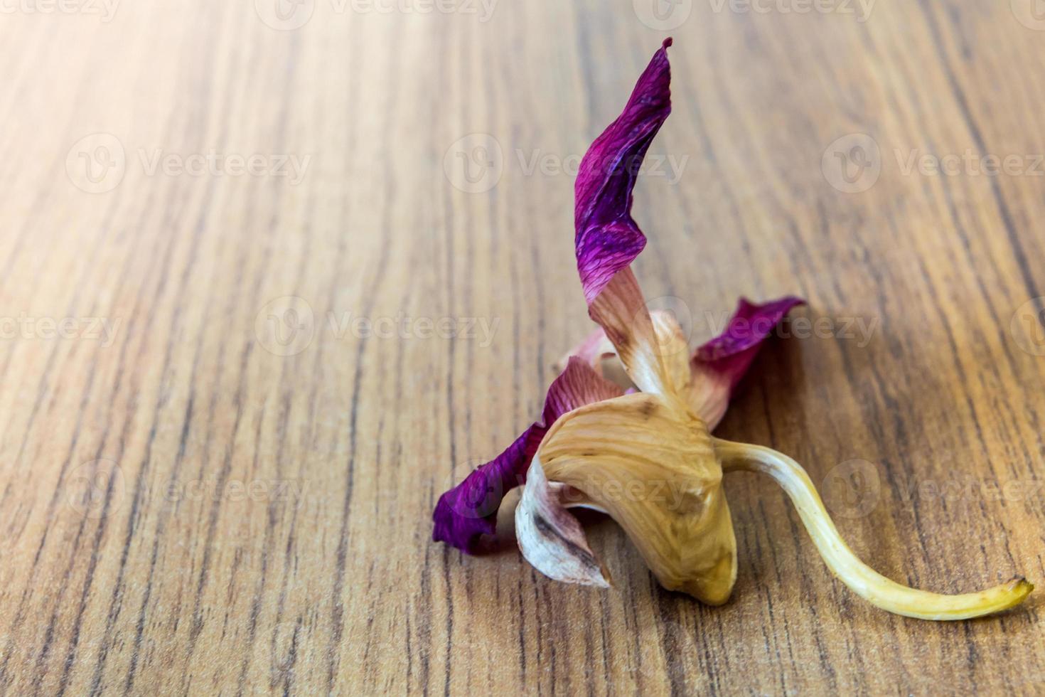 a flor murcha da orquídea cai amplamente no chão de madeira foto