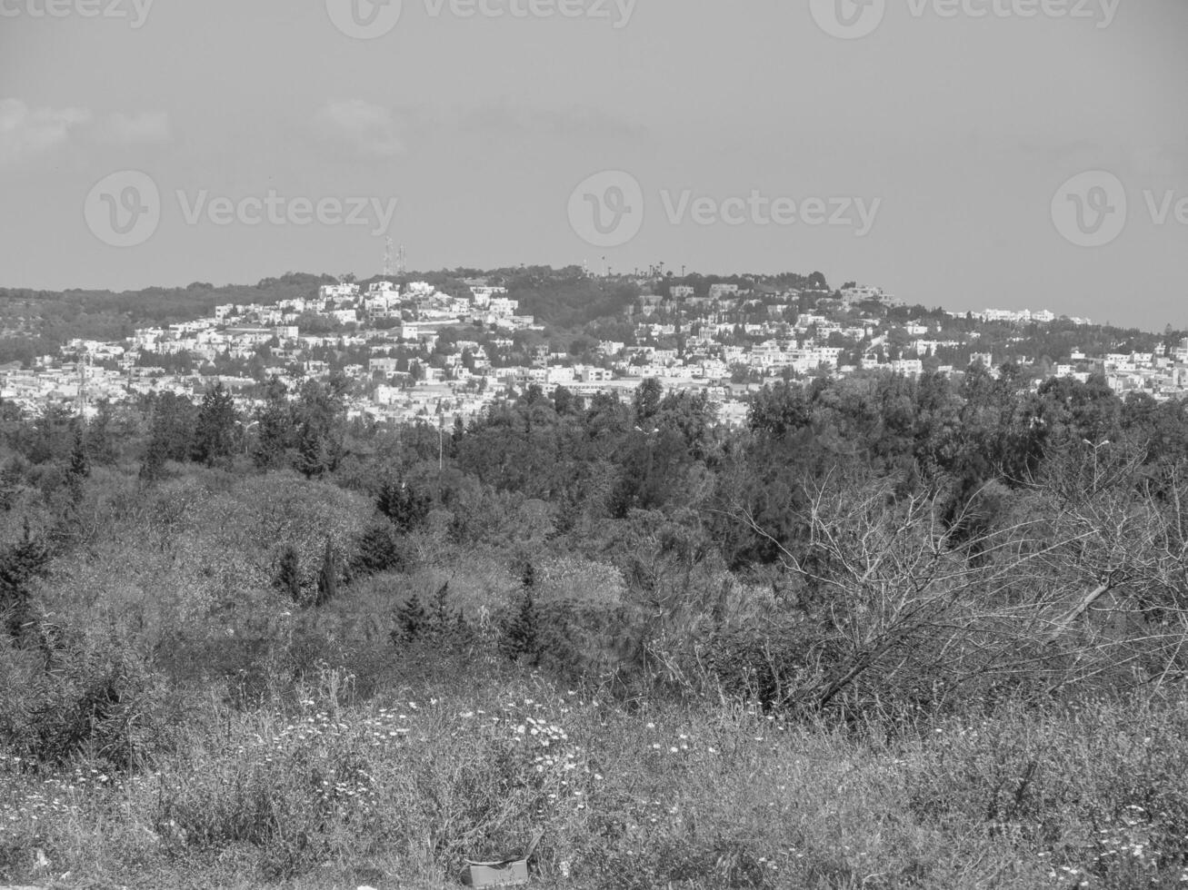 tunis na áfrica foto