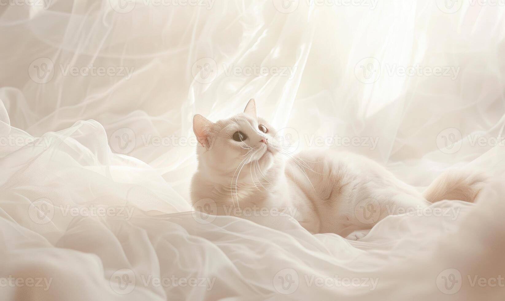ai gerado lindo branco gato deitado em a cama com uma branco tule foto