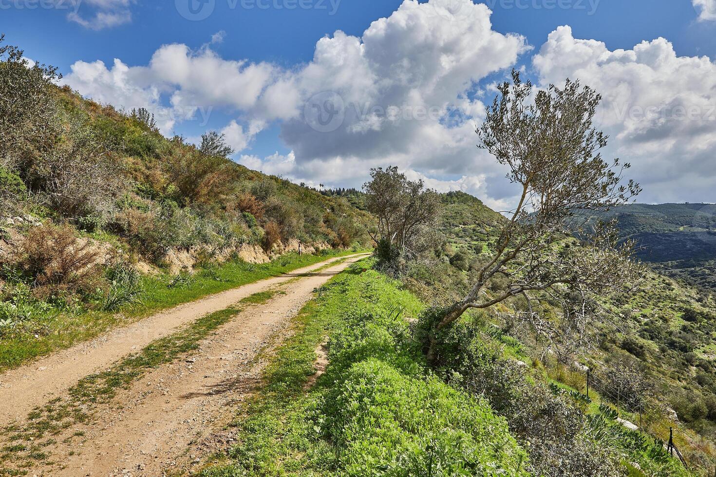 pacífico verde colinas com uma caminho e uma nublado azul céu panorama com colorida flores foto