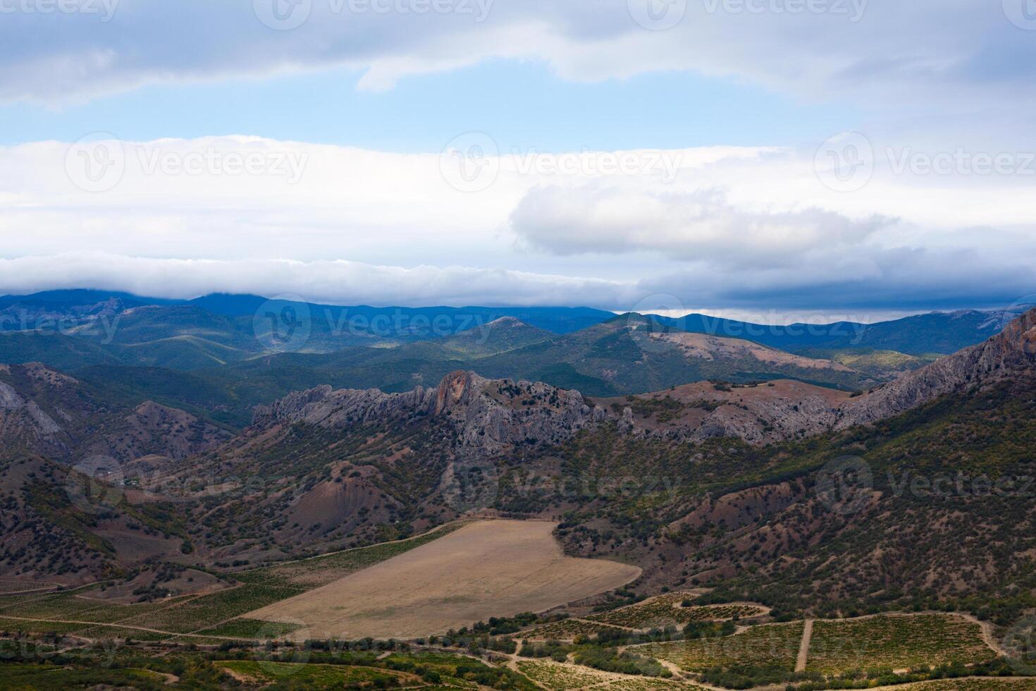 lindo vale dentro a montanhas com vinhas foto