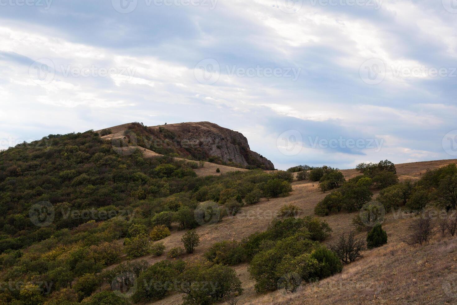 montanha pico com vegetação em a céu fundo foto