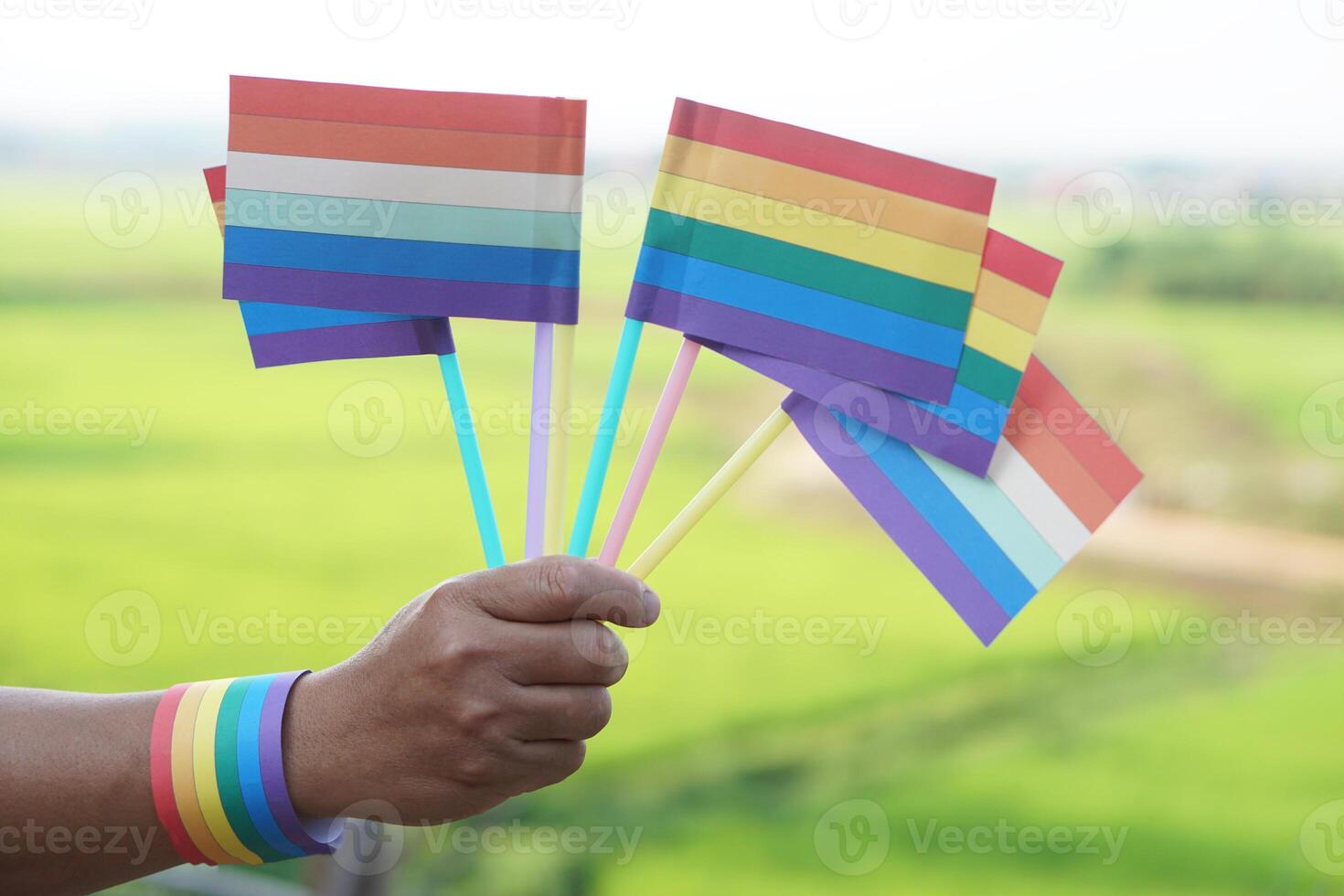 fechar acima mão detém arco Iris cores bandeiras. conceito, lgbtq celebração dentro orgulho mês, junho. símbolo do lgbt comunidade por aí a mundo.suporte humano certo do gênero diversidade. foto