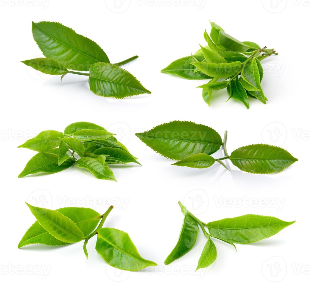 folha de chá verde isolada no fundo branco foto