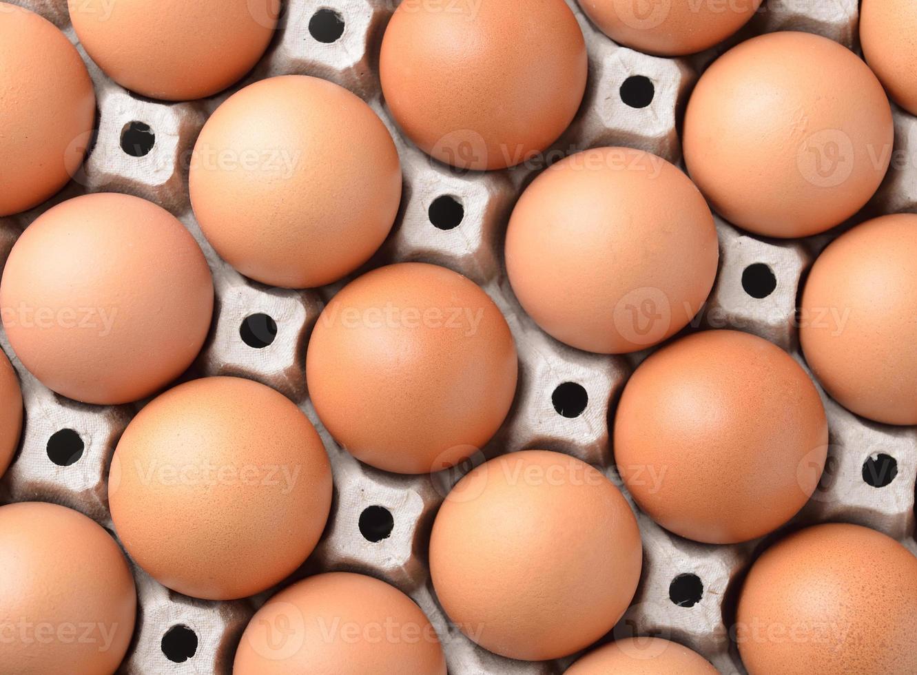 ovo de galinha em ovos de painel foto