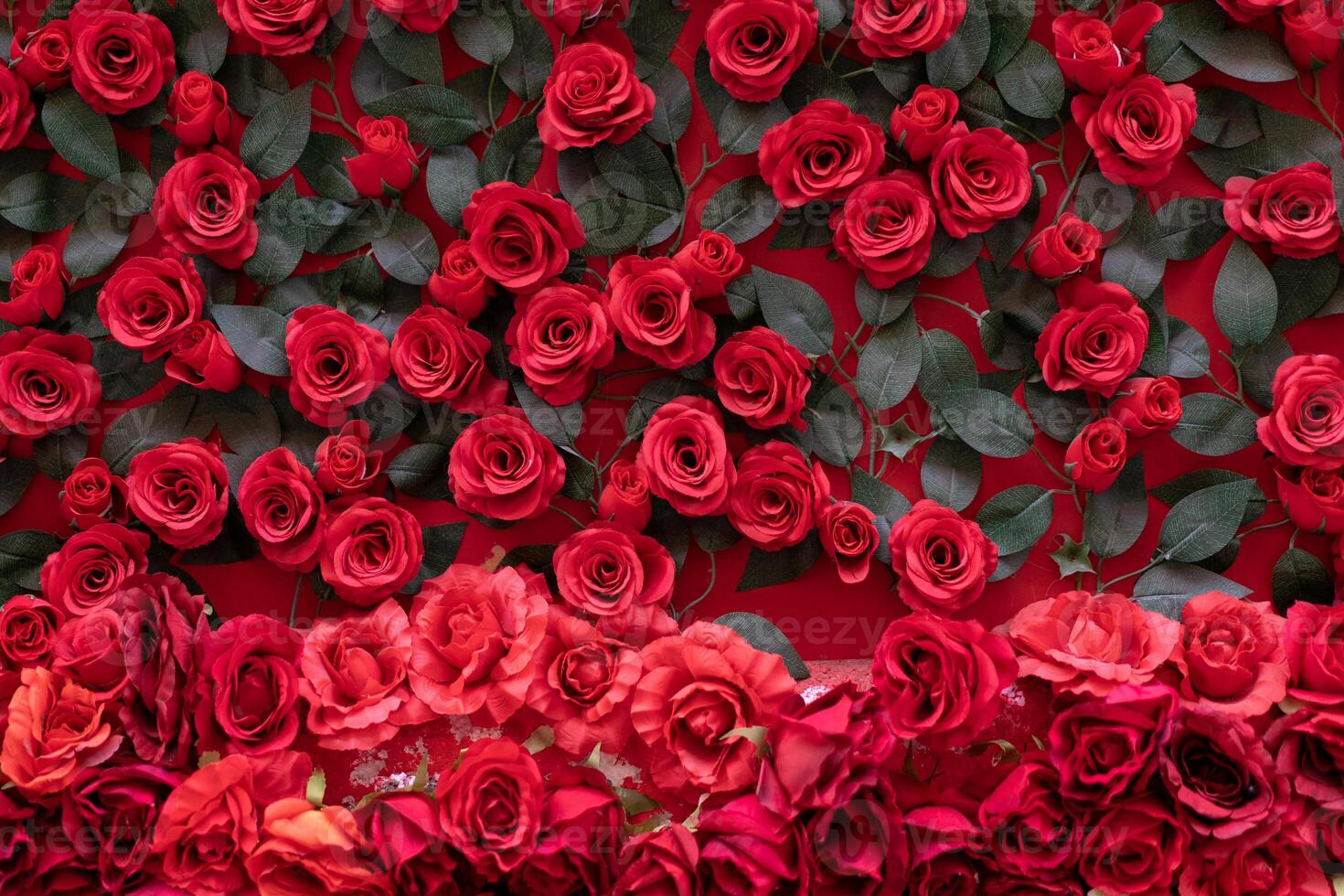 artificial rosas colado para a muro. lindo fundo do seus brilhante vermelho flores foto