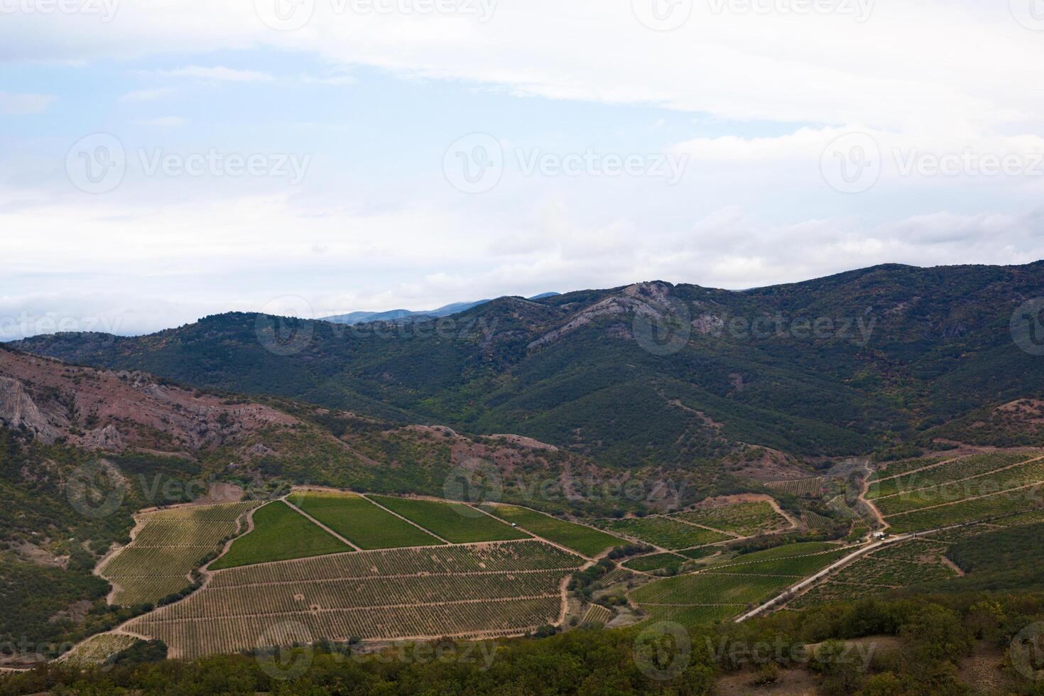 lindo vale dentro a montanhas com vinhas foto