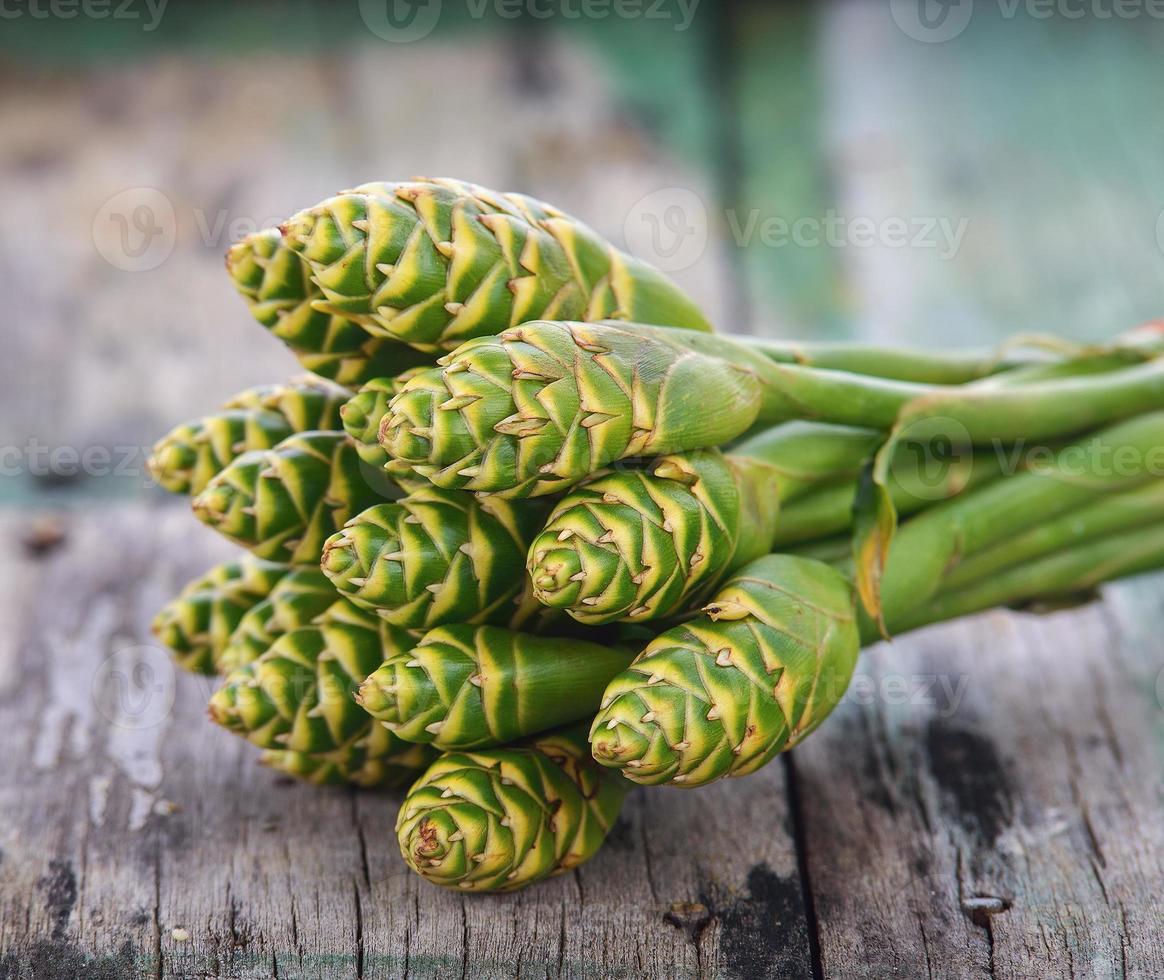 linda flor de gengibre verde tropical em madeira foto