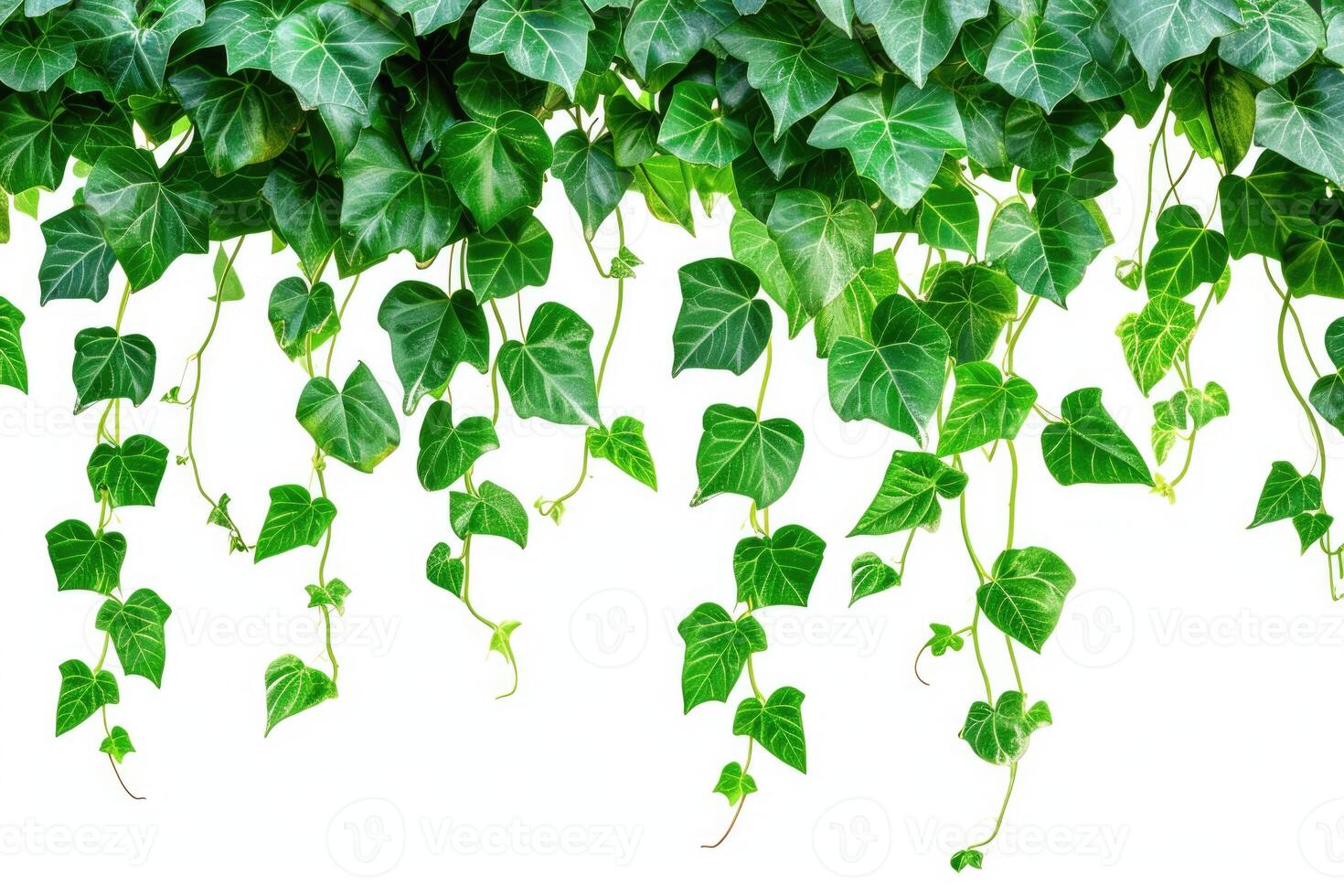 ai gerado isolado suspensão hera plantar em branco fundo. foto