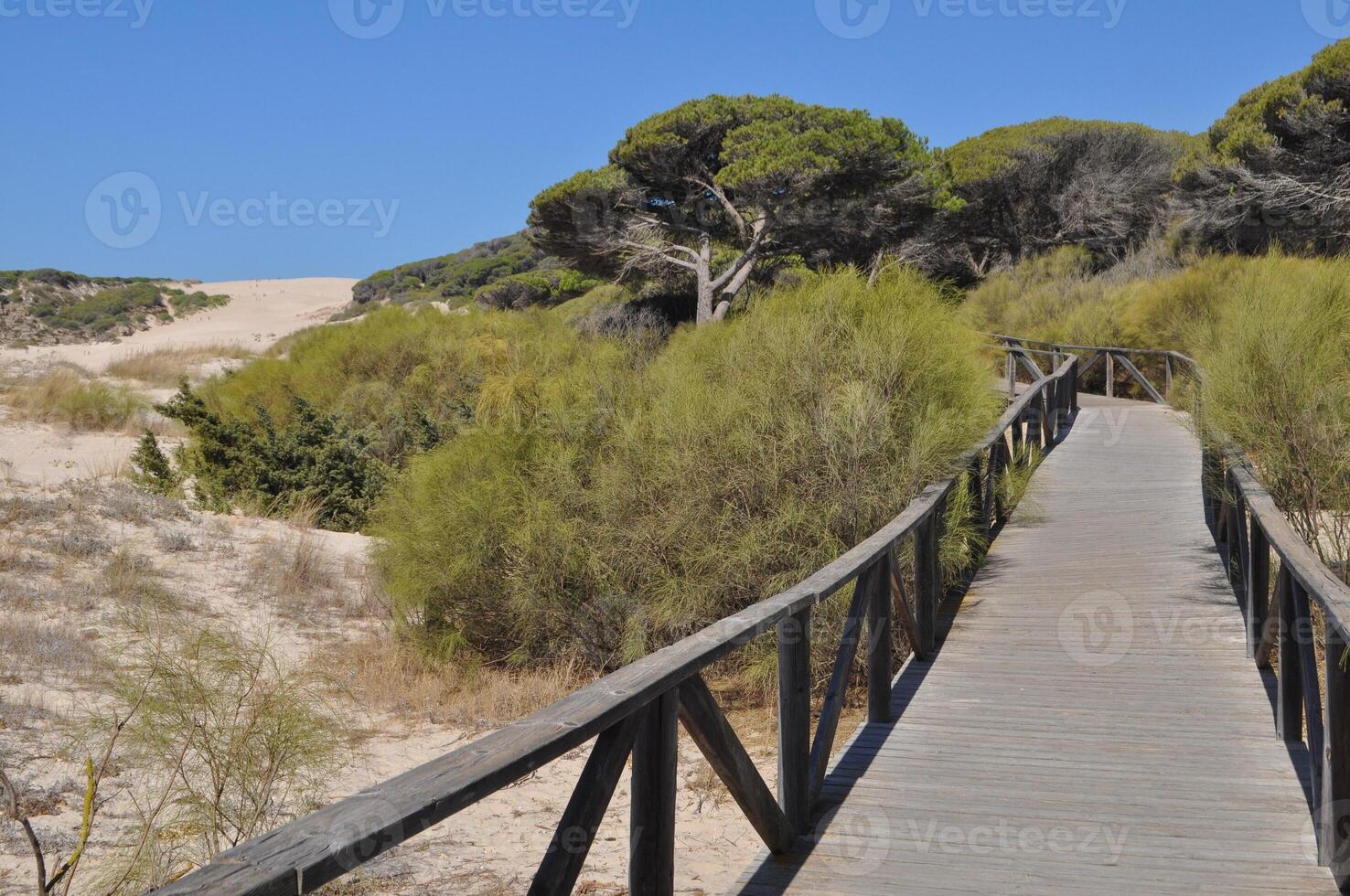 a de praia dentro Bolonia foto