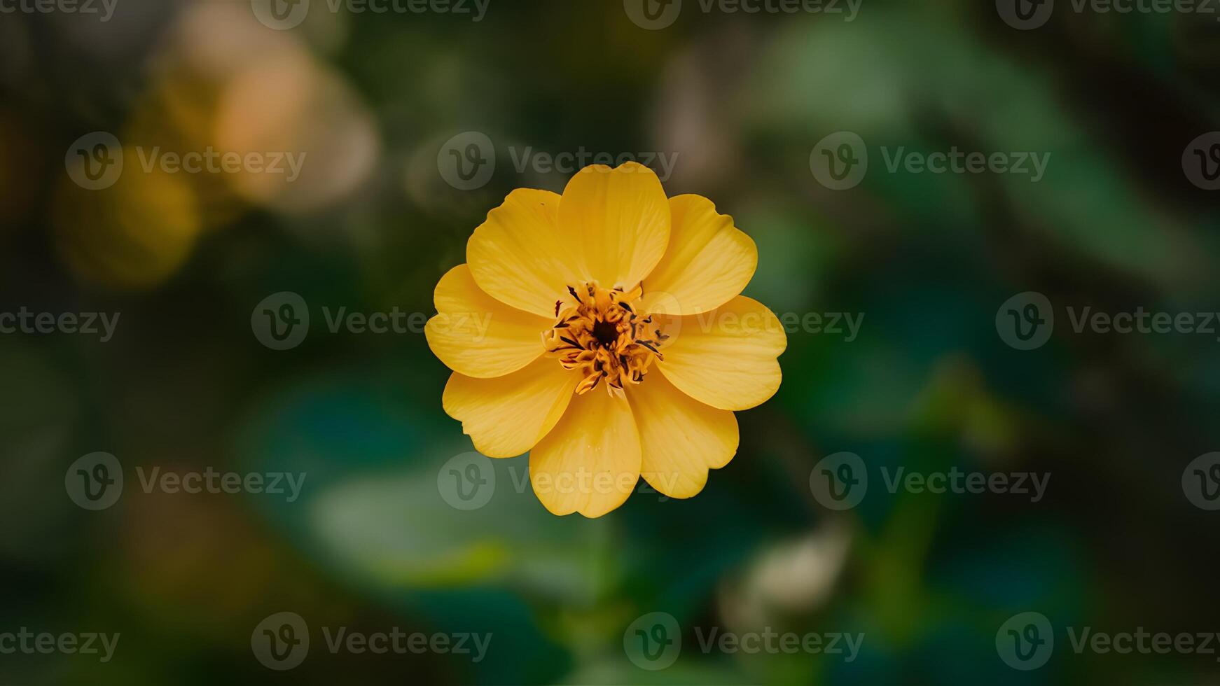 ai gerado selvagem floresta amarelo flor com único swirly bokeh fundo foto
