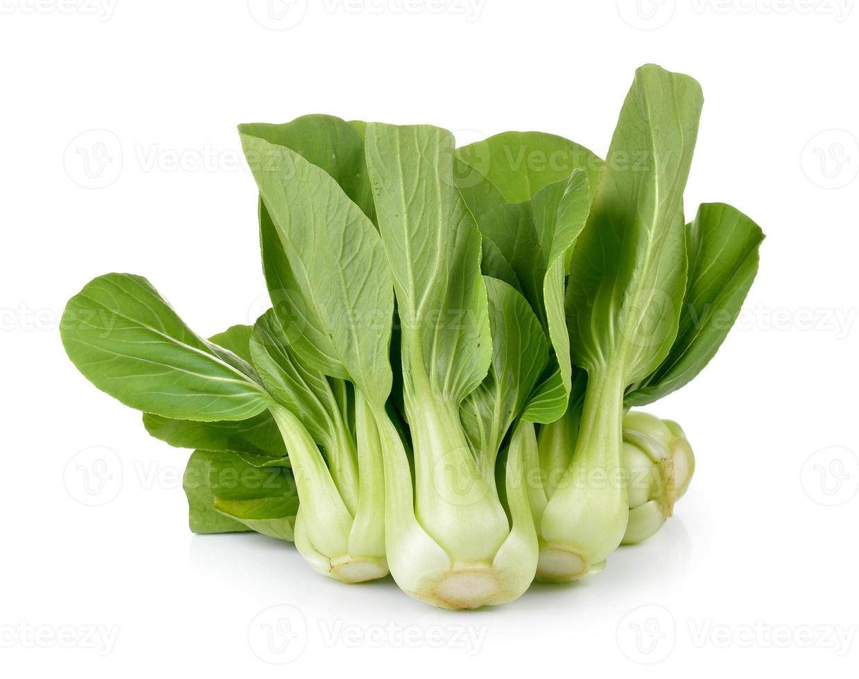 bok choy vegetal em fundo branco foto