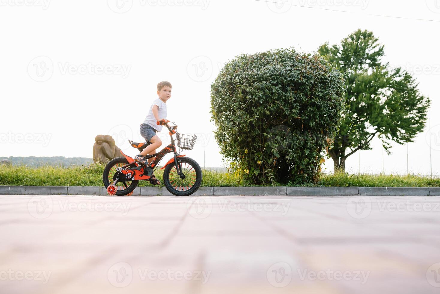 feliz Garoto passeio uma bicicleta dentro cidade parque foto