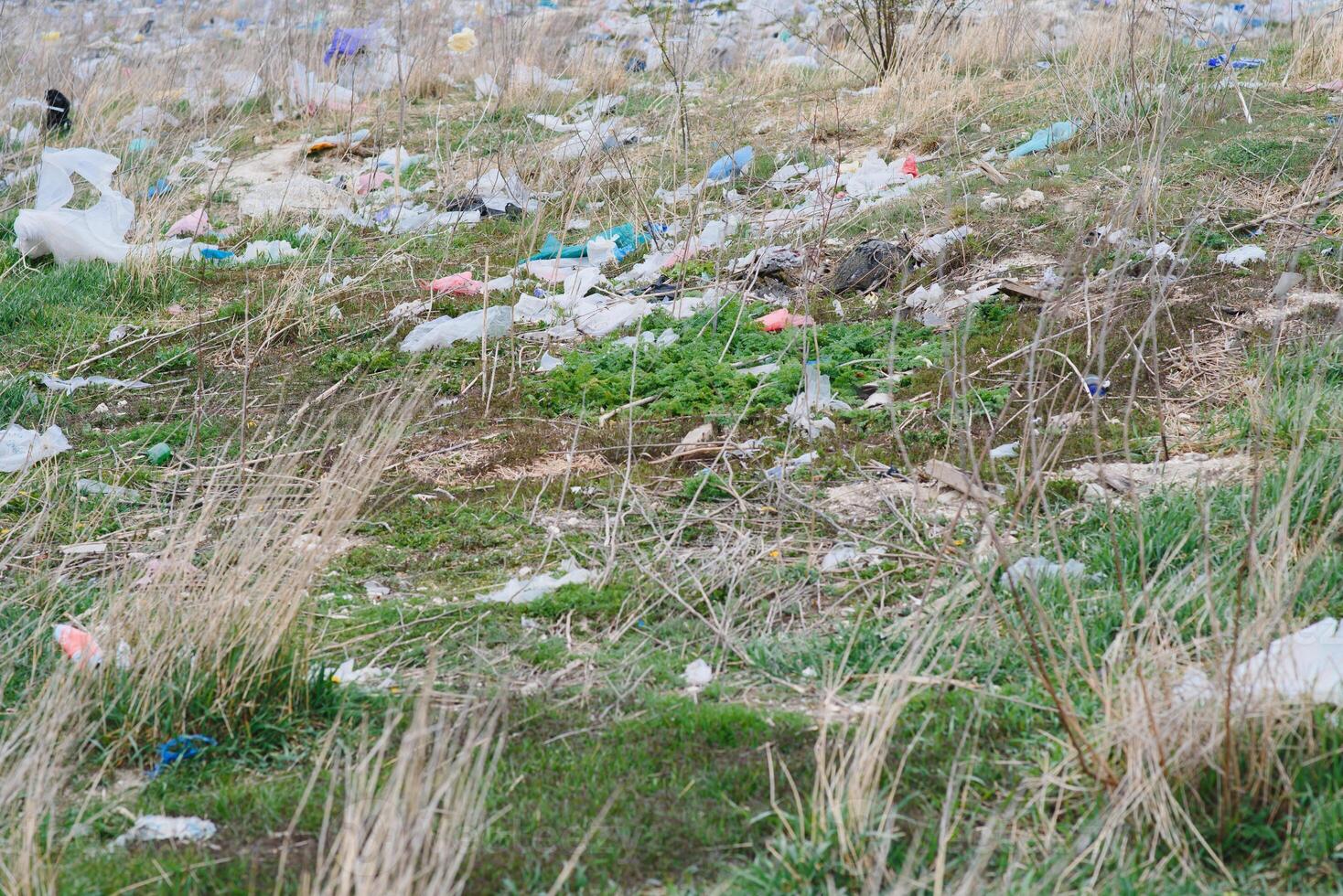 ecológico poluição do natureza. plástico saco emaranhado dentro plantas contra a pano de fundo do a montanhas. global de Meio Ambiente poluição. reciclando, compensação a terra a partir de plástico destroços. foto