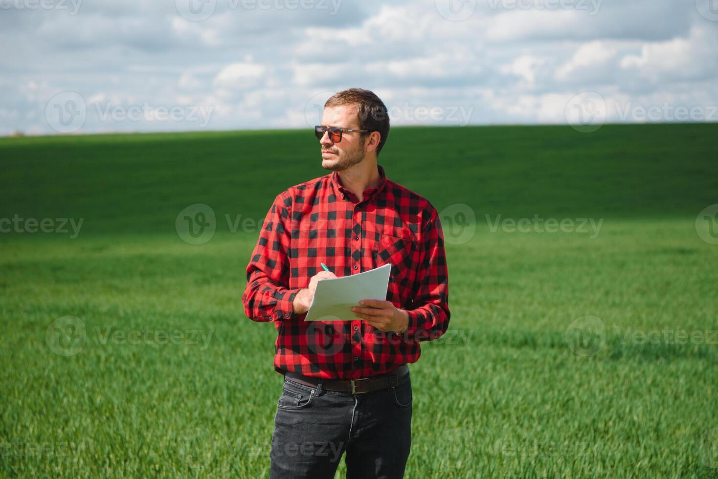 a agrônomo investiga a amadurecimento processo do jovem trigo dentro a campo. agrícola o negócio conceito. a agricultor trabalho em uma trigo campo e inspeciona a qualidade do trigo brotos. foto