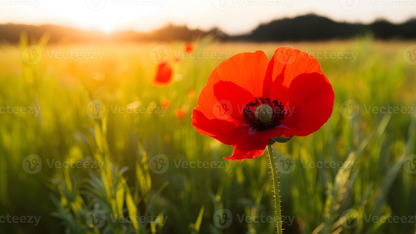 ai gerado lindo vermelho papoula flor com cópia de espaço dentro brilhante campo foto