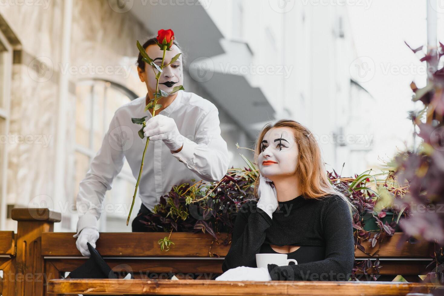 masculino mímica dando uma flor para fêmea mímica foto