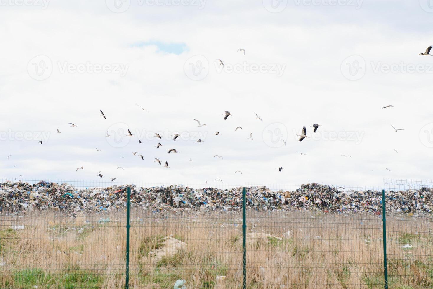 enorme pilha do lixo dentro uma cidade despejo em sombrio dia. guardando a meio Ambiente limpar. ecológico problemas. foto