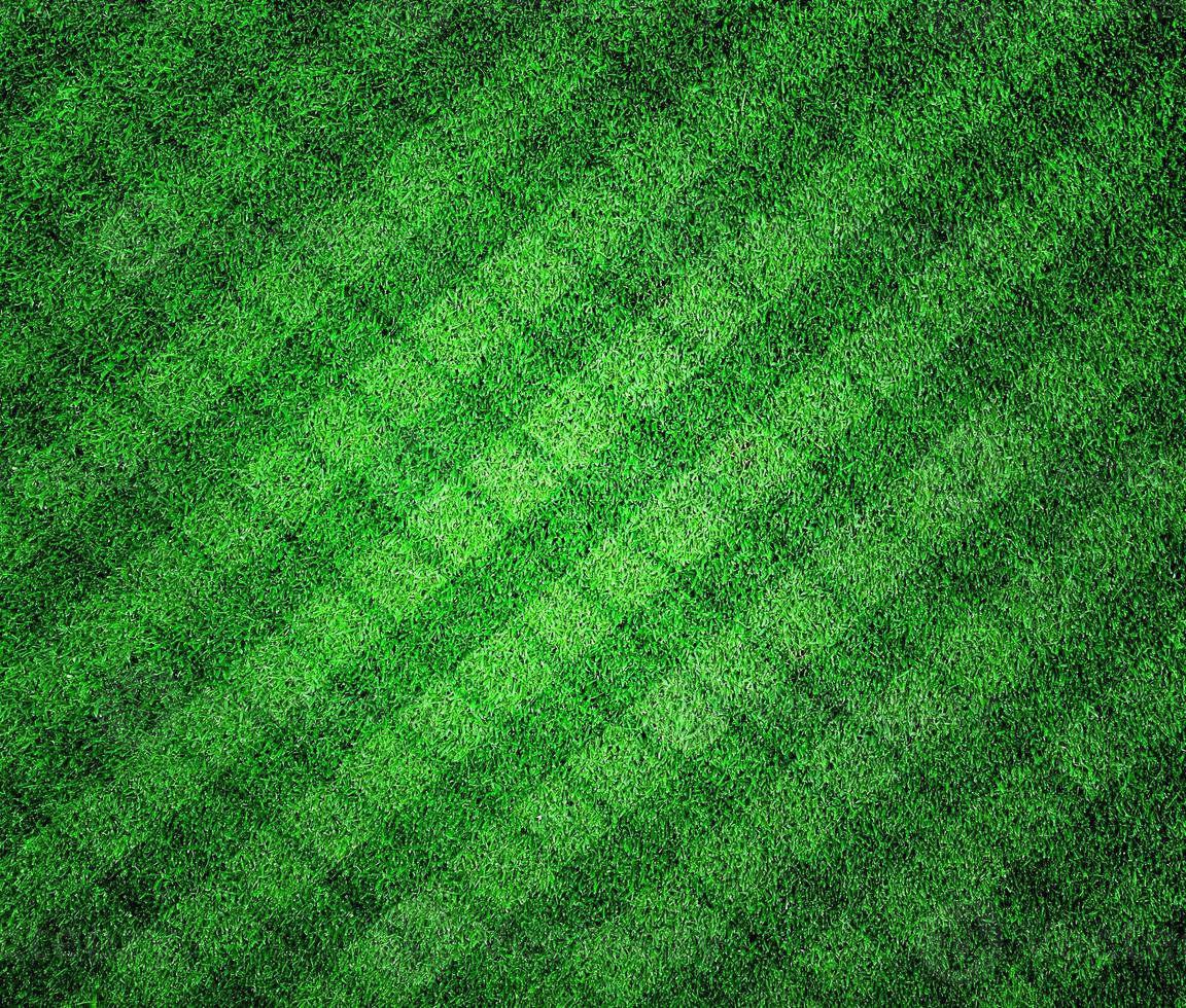 grama verde forrada para o fundo foto