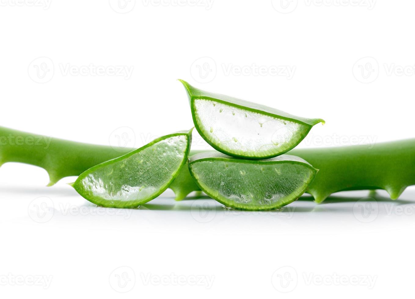 folhas frescas de aloe vera em fundo branco foto