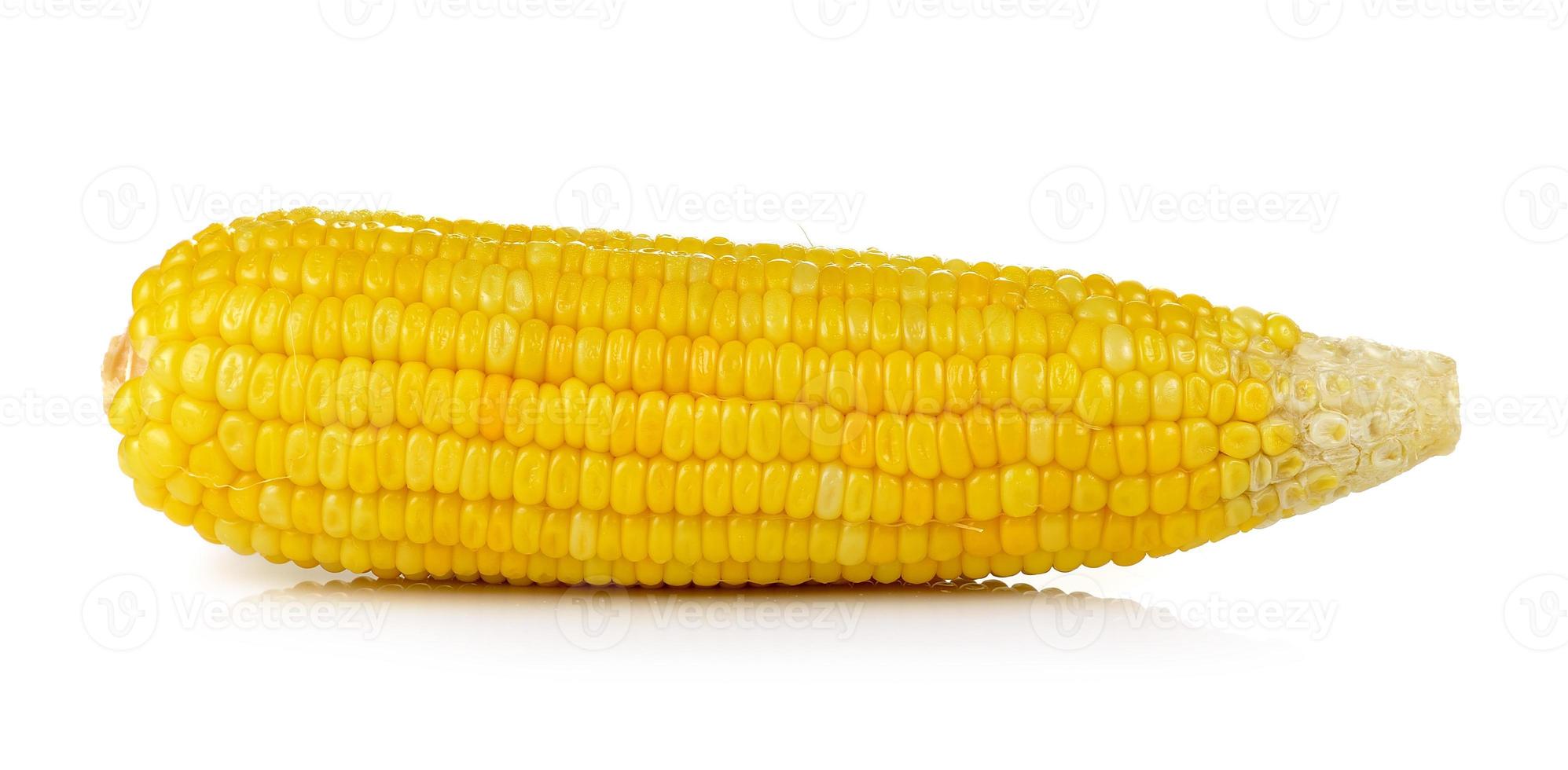 milho no fundo branco foto