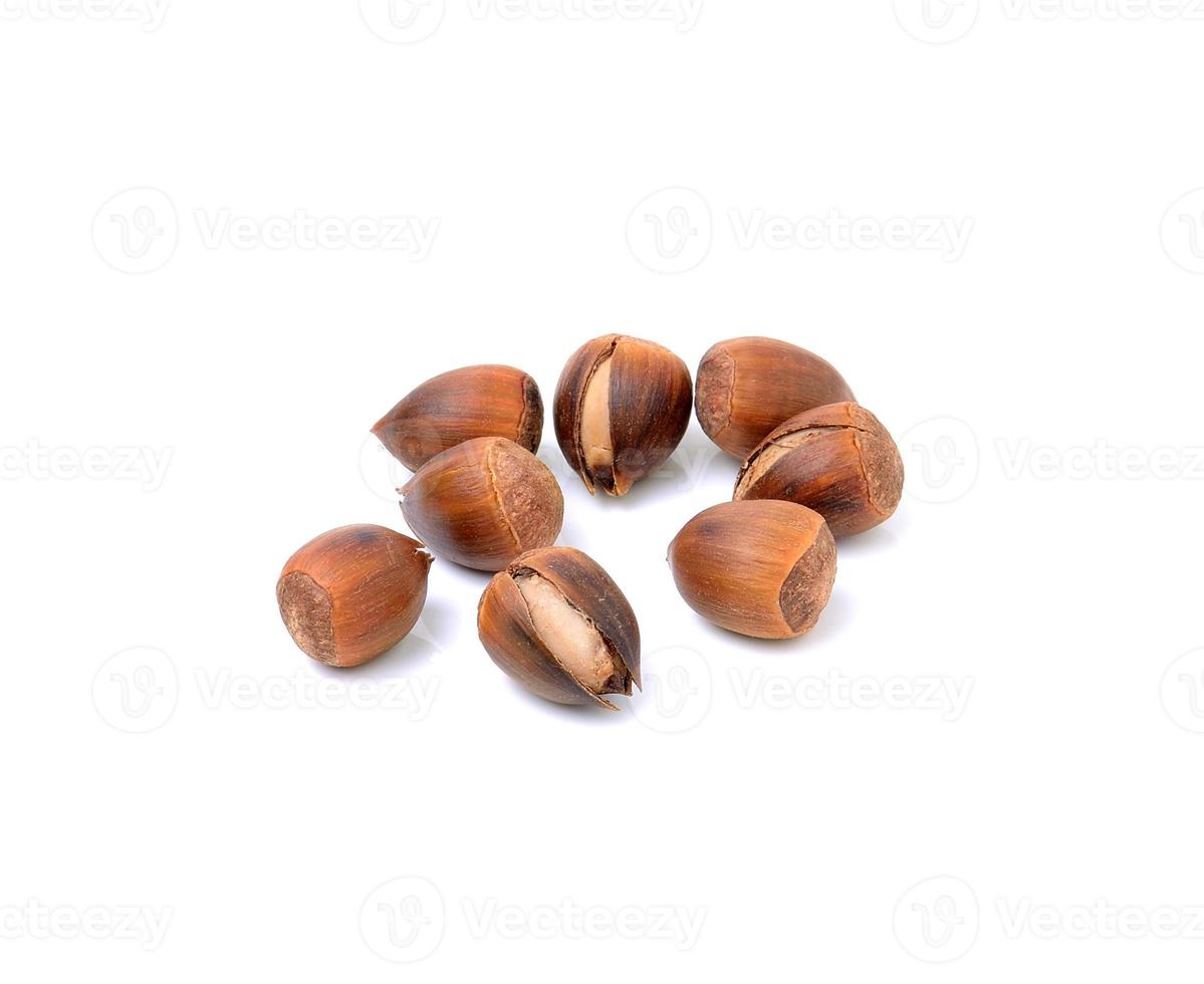 castanha-doce da tailândia em fundo branco foto
