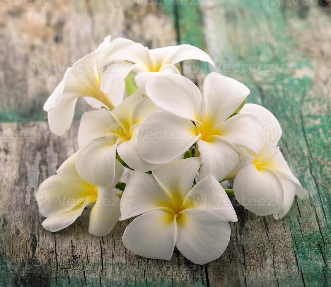 flor de frangipani em madeira foto