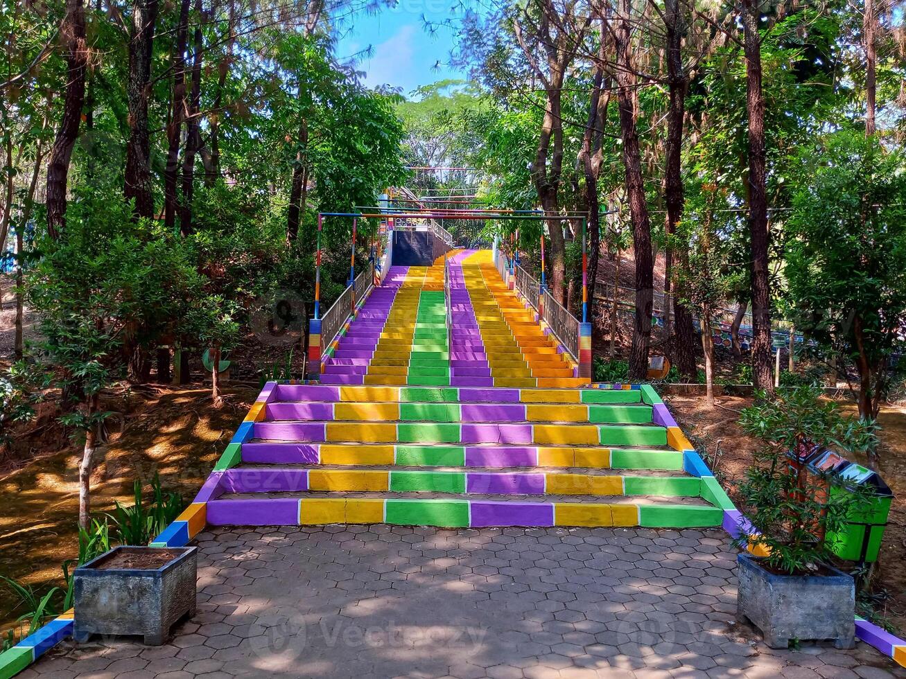 colorida floresta caminho com Escadaria e vegetação foto