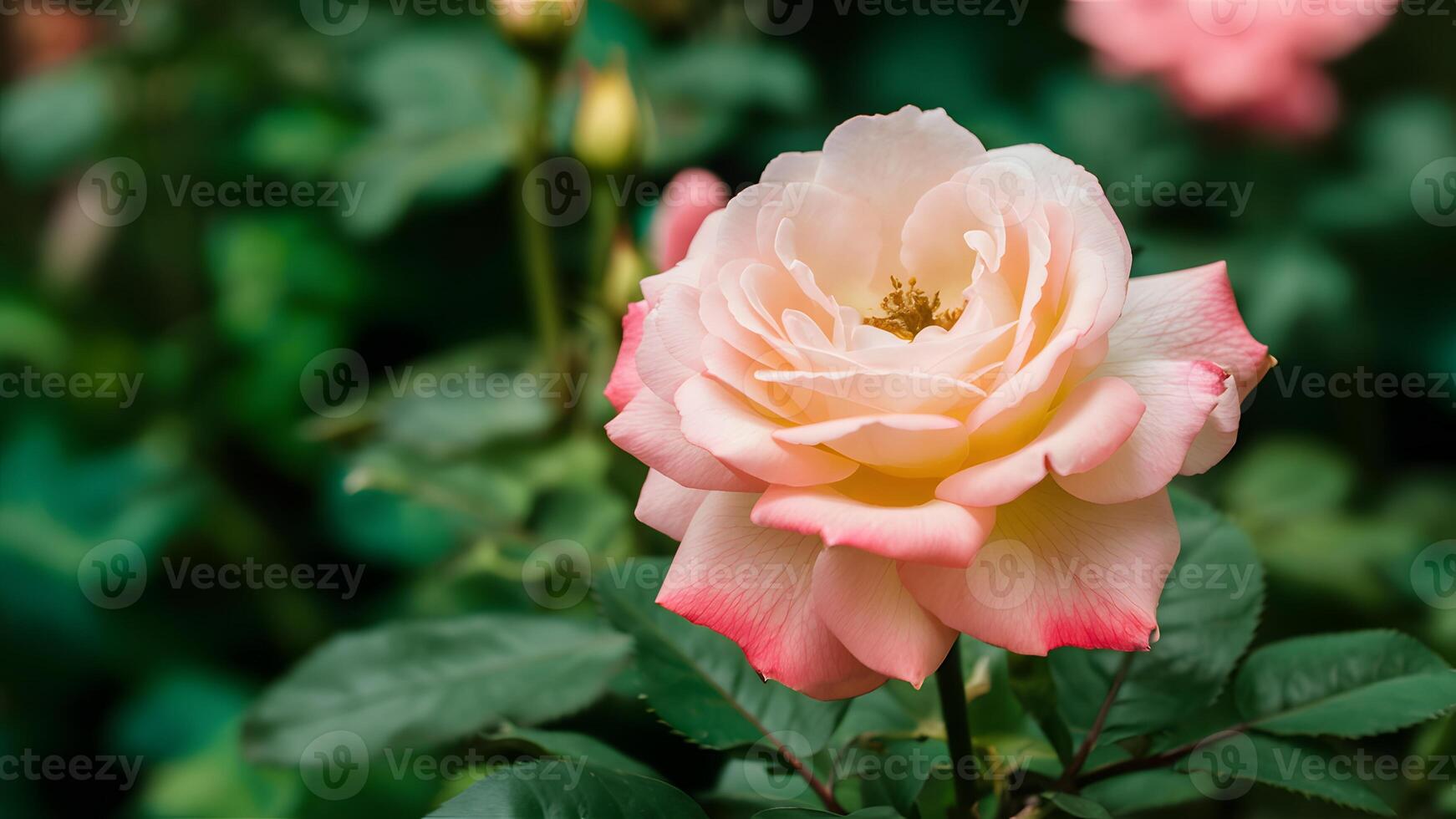 ai gerado lindo rosa flor florescendo dentro verão jardim, Largo formato bandeira foto