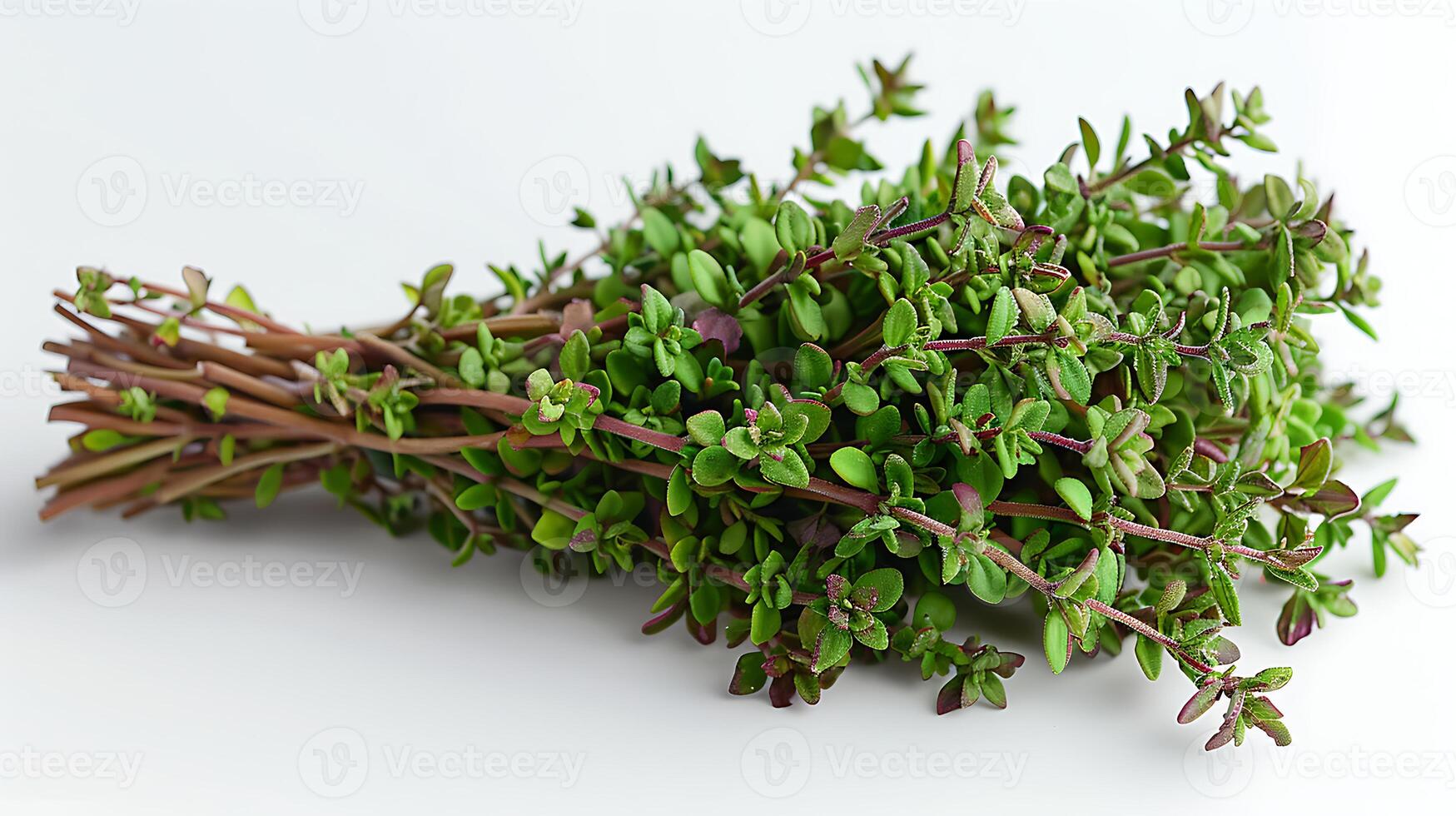 ai gerado medicinal plantas Tomilho em uma branco fundo foto