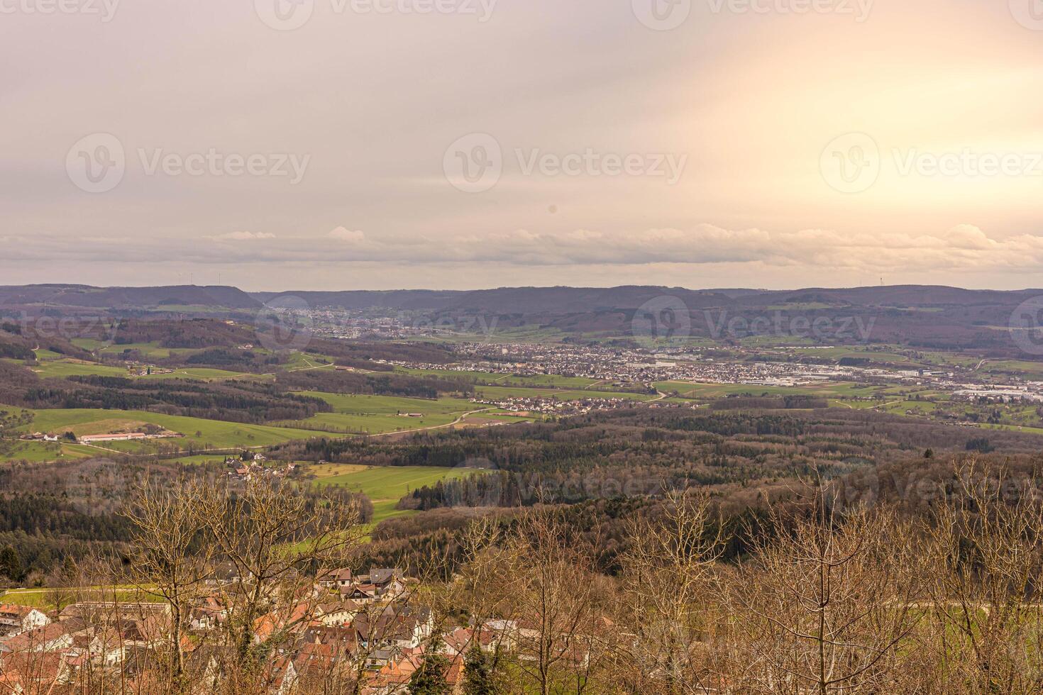 panorâmico Visão do a cidade dentro Alemanha foto