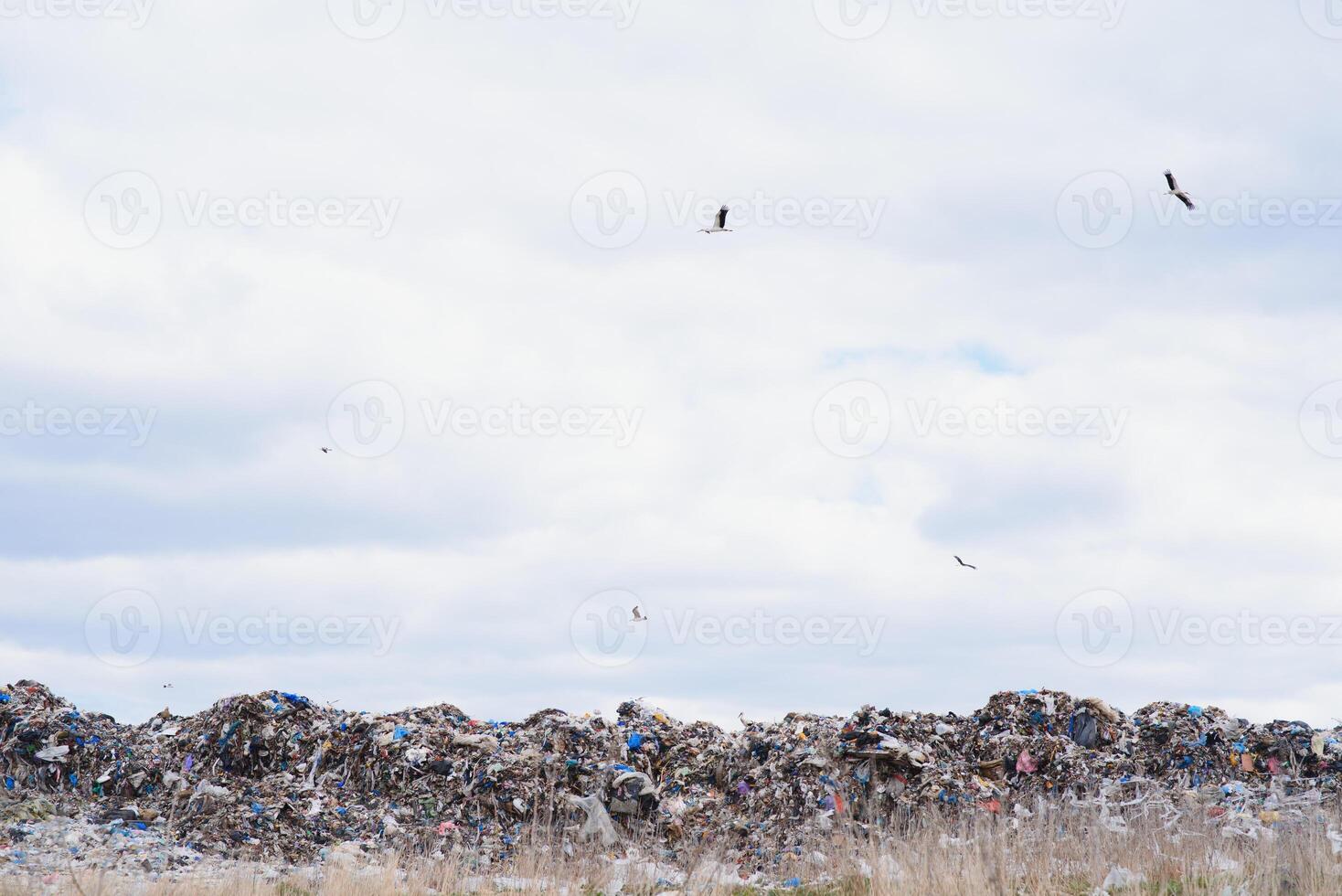 enorme pilha do lixo dentro uma cidade despejo em sombrio dia. guardando a meio Ambiente limpar. ecológico problemas. foto