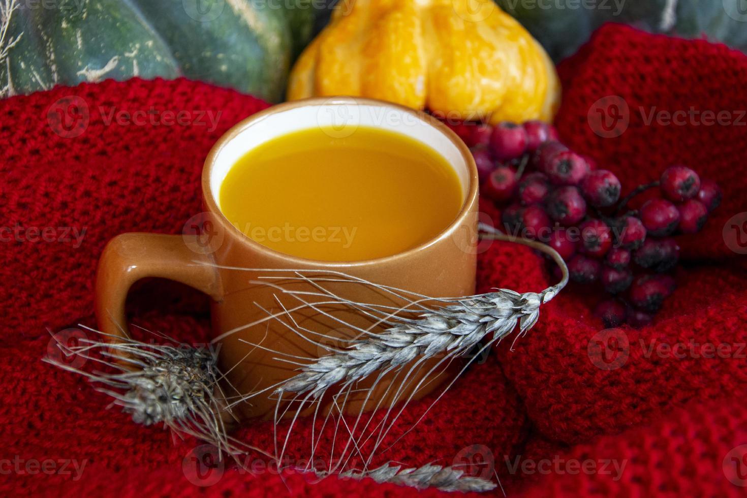 uma xícara de suco de abóbora fica sobre um lenço de malha vermelho. outono ainda vida. foto